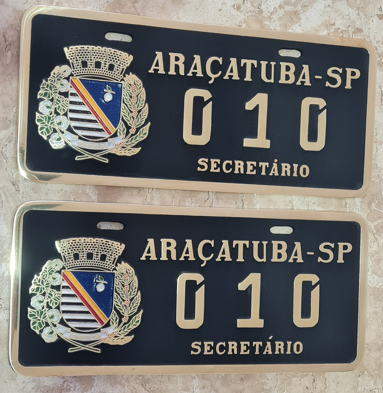 Placa de Carro em Bronze Fundido